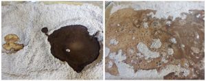 Eggless chocolate cake prep steps 3&4