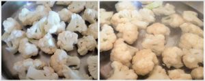 Gobi 65 preparation steps 1&2
