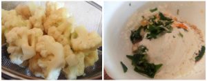 Gobi 65 preparation steps 3&4