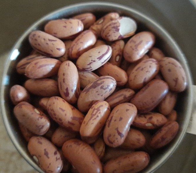 rajma chitra