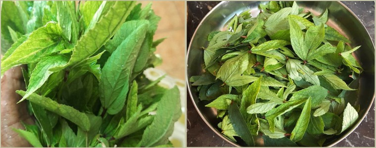 Gongura pappu prep steps 1