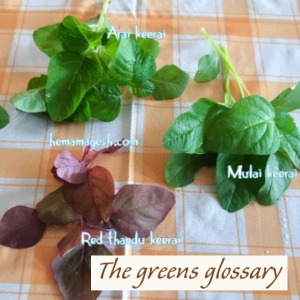 The greens glossary thumbnail