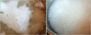 Palada pradhaman prep step 2